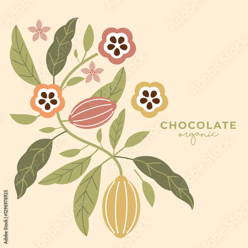 Cocoa bean illustration. Vintage style design template. chocolate cocoa beans. Vector illustration