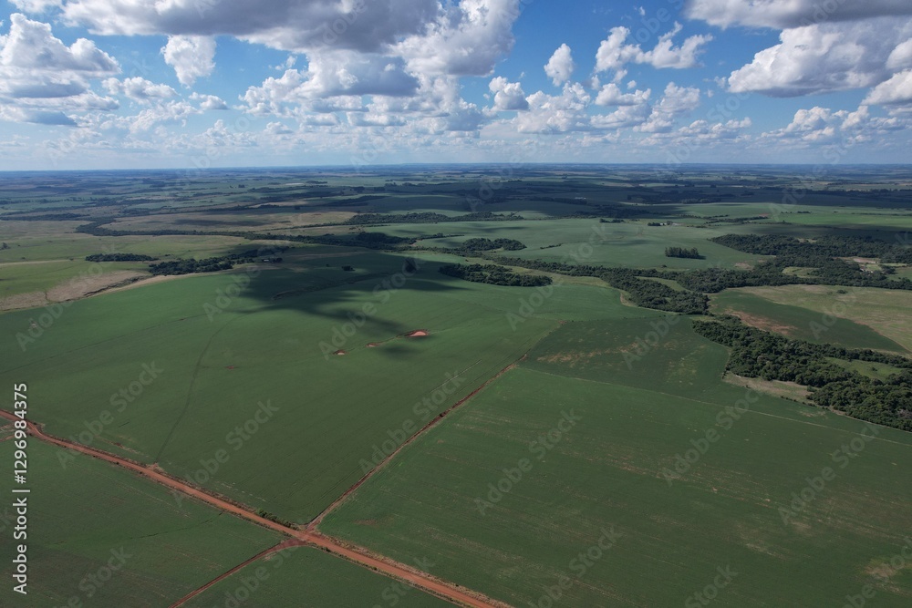 Fototapeta premium Bossorroca, Brasil, Rio grande do Sul, Drone Caxias, Drone view 