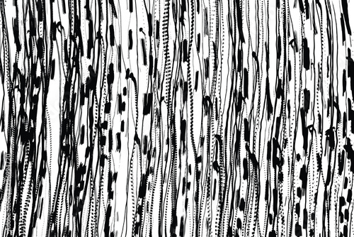 Vector of backgrounds with random grunge scribbles and chaotic hand-drawn textures. Monochromatic doodles created with pen or pencil strokes, suitable for covers, posters, and cards.