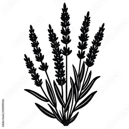 wheat ears isolated on white
