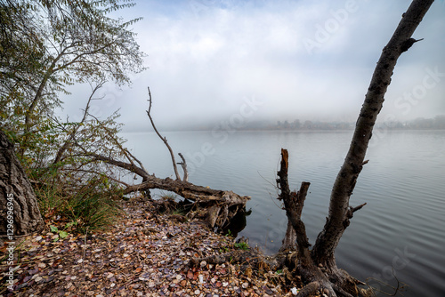 Niebla en la Laguna del Campillo