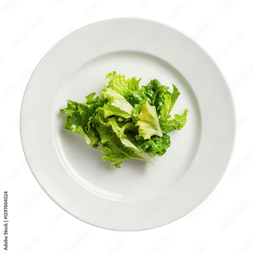 Fresh Green Lettuce Leaves on White Plate Surrounded by Space Fresh Green Lettuce Leaves on White Plate Surrounded by Space