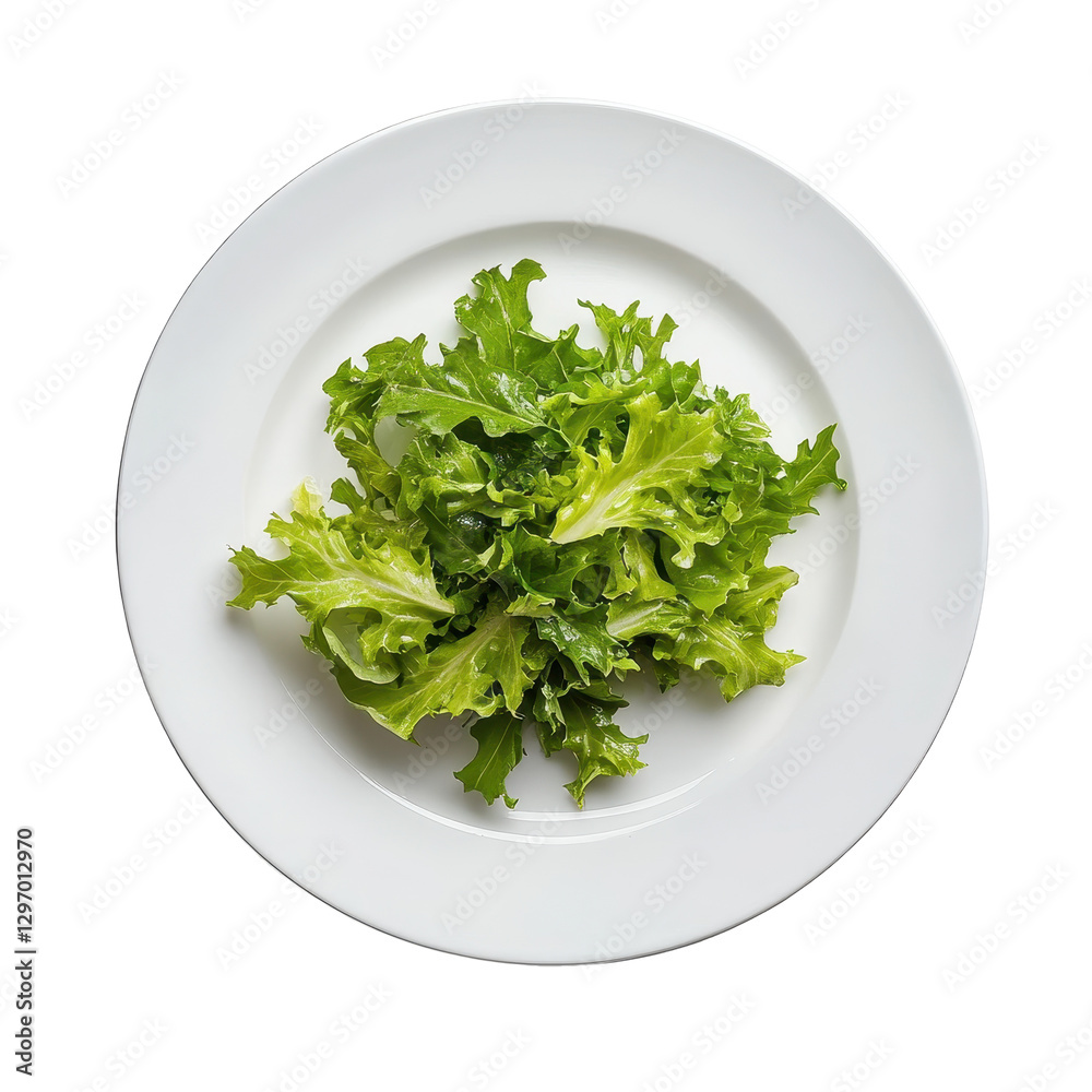 Fresh Green Leafy Lettuce on a Clean White Plate for Healthy Meals Fresh Green Leafy Lettuce on a Clean White Plate for Healthy Meals