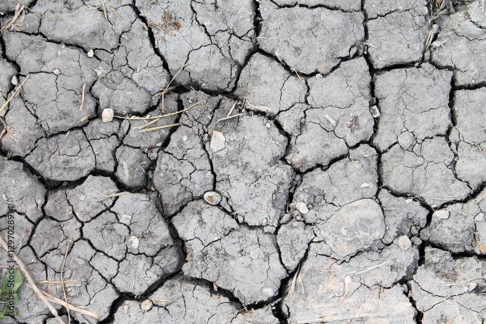Dry cracked earth, parched land, Earth dirt texture background of grey mud, arid soil, Dry cracked earth texture, cracked earth, Dry mud, broken texture, desert, Global Warming, Climate Change. High Dry cracked earth, parched land, Earth dirt texture background of grey mud, arid soil, Dry cracked earth texture, cracked earth, Dry mud, broken texture, desert, Global Warming, Climate Change. High