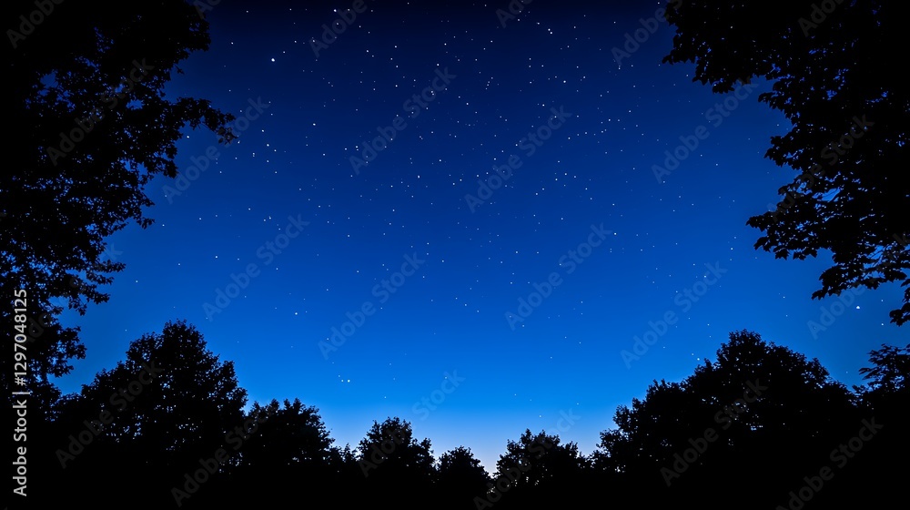 Naklejka premium A dark silhouette of trees beneath a starry night sky