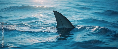 Shark fin swimming in blue ocean water near the surface.