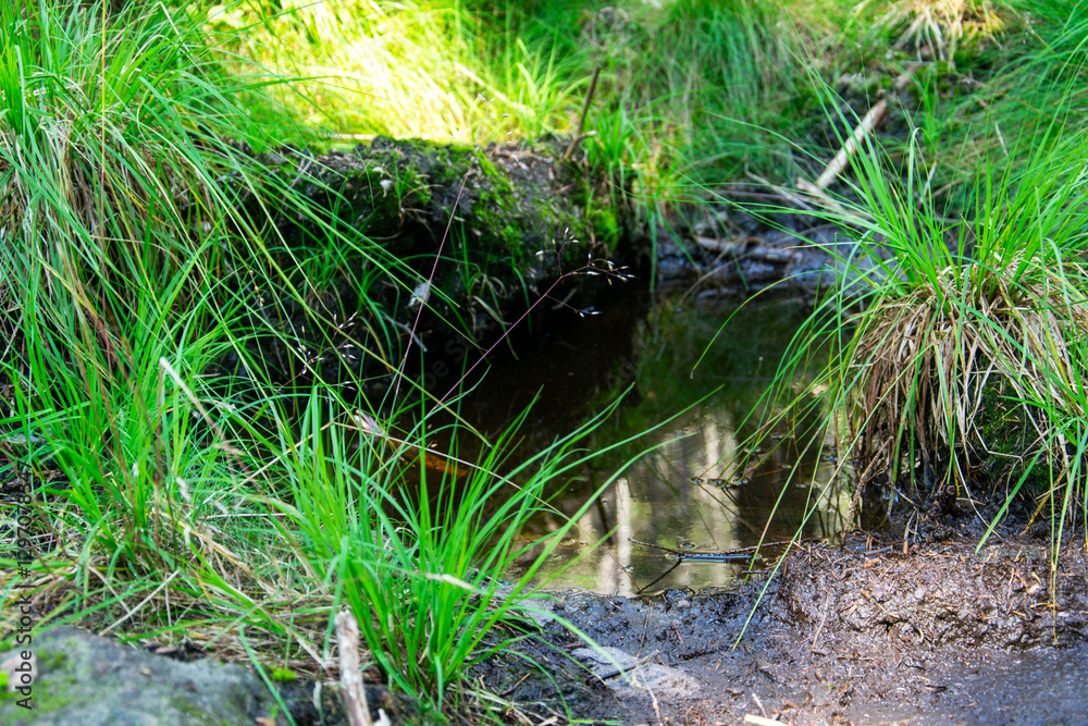 Obraz premium Makro kałuża przypominająca jezioro