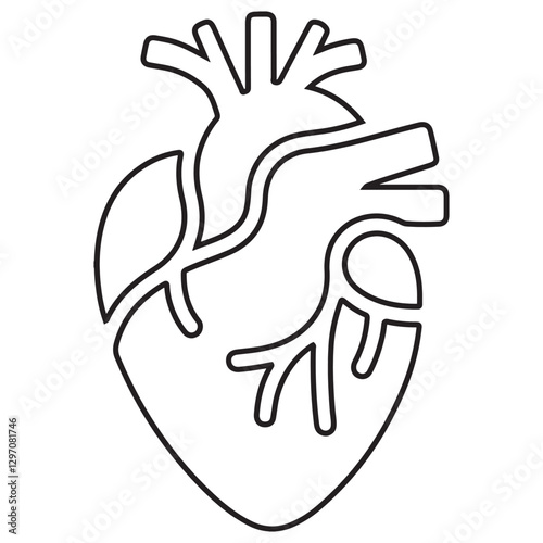 Anatomical Heart Illustration Vector Black Line Art for Medical Concepts