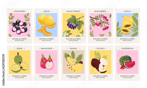 Vector illustration set of posters with different fruits. Art for postcards, wall art, banner, background. 