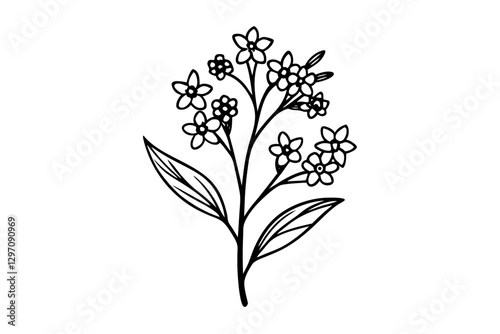 Waxflower Vector Illustration. A Perfect Touch for Creative Projects
