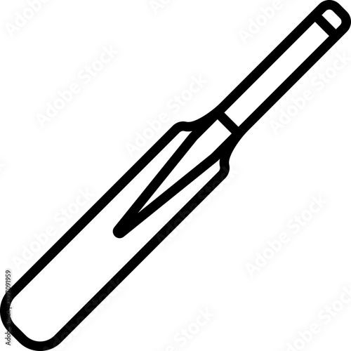 Cricket Bat