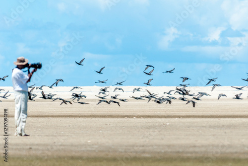 Revoada de biguás na Barra da Lagoa do Peixe.