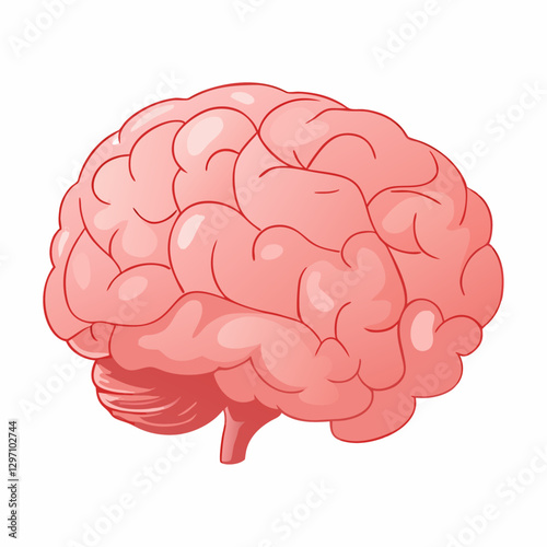 Realistic human internal organs anatomy composition with isolated vector  illustration