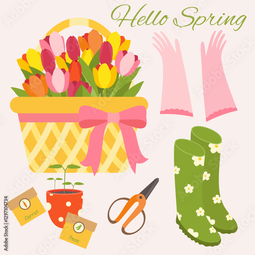 Hello spring vector set. Spring set with basket of tulips and scissors, rubber boots and gloves, seedling pot.