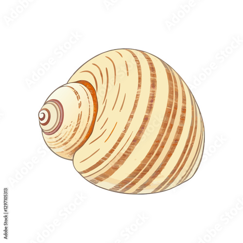 Image of large empty ocean snail shell  white background Undersea vector  illustration
