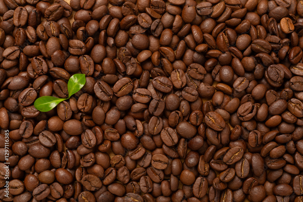 Fototapeta premium Roasted coffee beans with leaves as background,top view