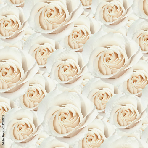 Obraz na płótnie Elegant White Rose Pattern Wallpaper for Floral and Wedding Decorations w salonie