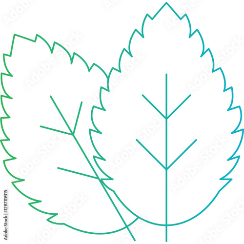 Spearmint single vector icon illustration