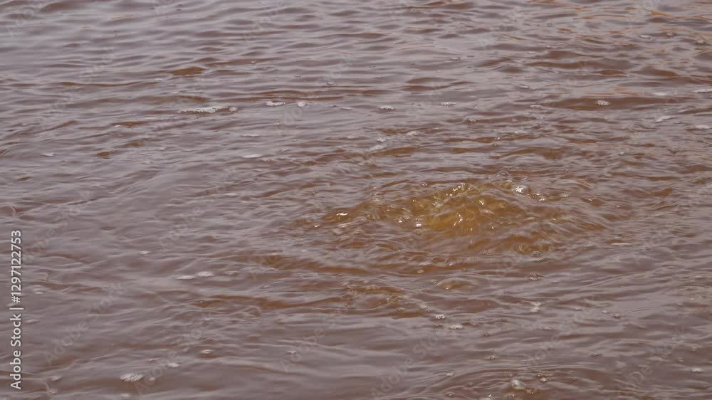 Bubbles arise from volcanic hot spring in Danakil desert in Ethiopia
Bubbles arise from volcanic hot spring in Danakil desert in Ethiopia