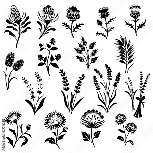 
vector set of dried flowers silhouettes