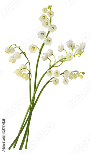 Beautiful Lily of the valley flower falling in the air isolated on white background. levitation or zero gravity floral conception. High resolution image.