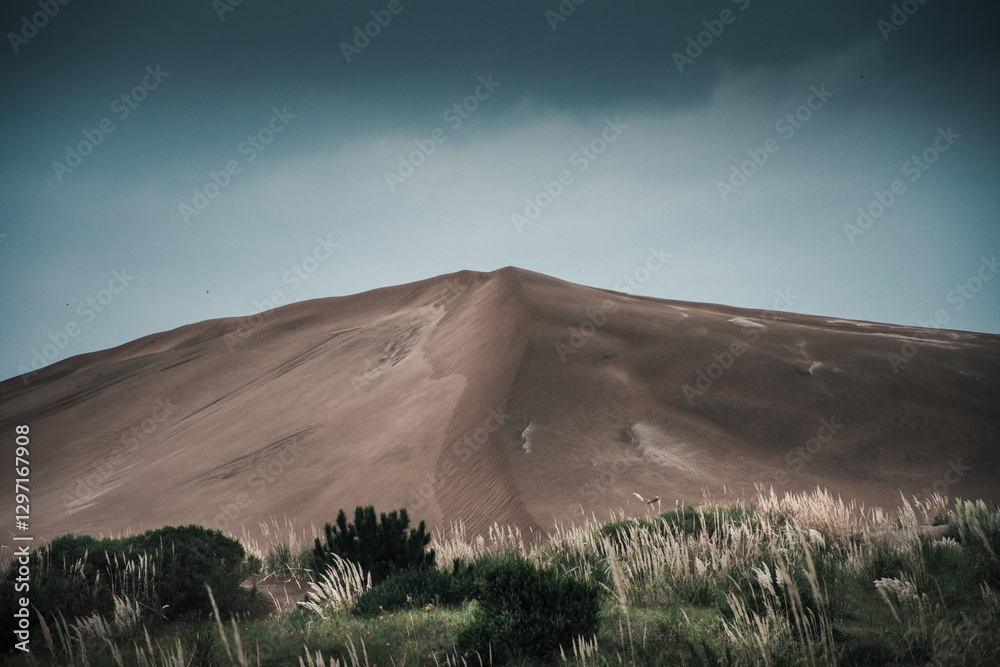 Fototapeta premium Sand dune in green grassland