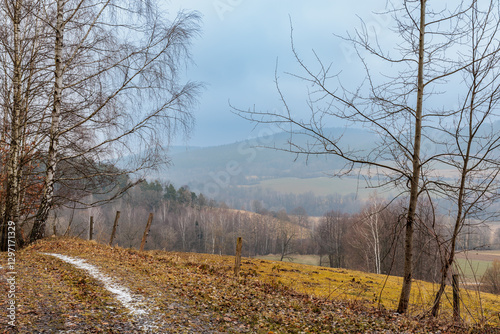 Obraz na płótnie Winter mood in the country of South Bohemia. Czech Republic w salonie