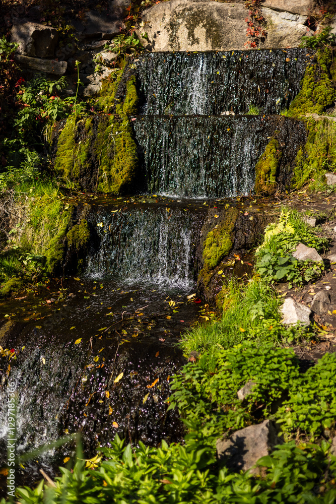 Fototapeta premium A small cascading waterfall flows over moss-covered rocks, surrounded by lush green plants and scattered autumn leaves. The tranquil scene is bathed in natural sunlight.