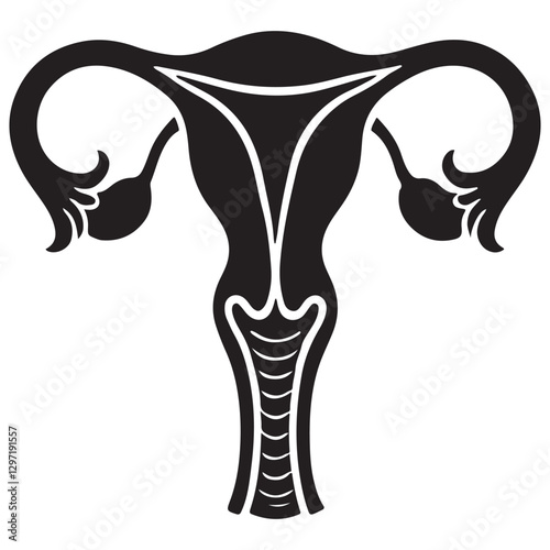 Empowering Women's Health Understanding the Female Reproductive System Anatomy