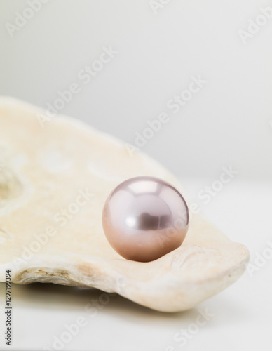 Pearl sitting inside of a shell studio still