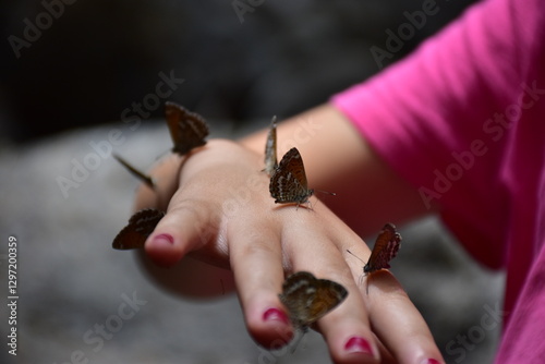 Mariposas