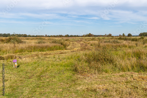 New nature area herbal field Scharreveld in Eursinge Drenthe The Netherlands photo