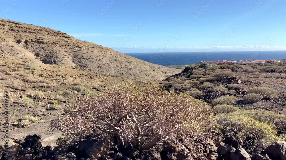 Beautiful coastal view of Playa Montana Pelada beach in Tenerife, Canary islands, Spain.Travel concept,4K video
Beautiful coastal view of Playa Montana Pelada beach in Tenerife, Canary islands, Spain.Travel concept,4K video