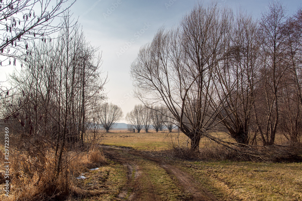 Przedwiośnie w Dolinie Górnej Narwi, Podlasie, Polska