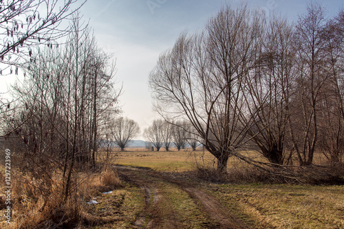 Obraz na płótnie Przedwiośnie w Dolinie Górnej Narwi, Podlasie, Polska w salonie