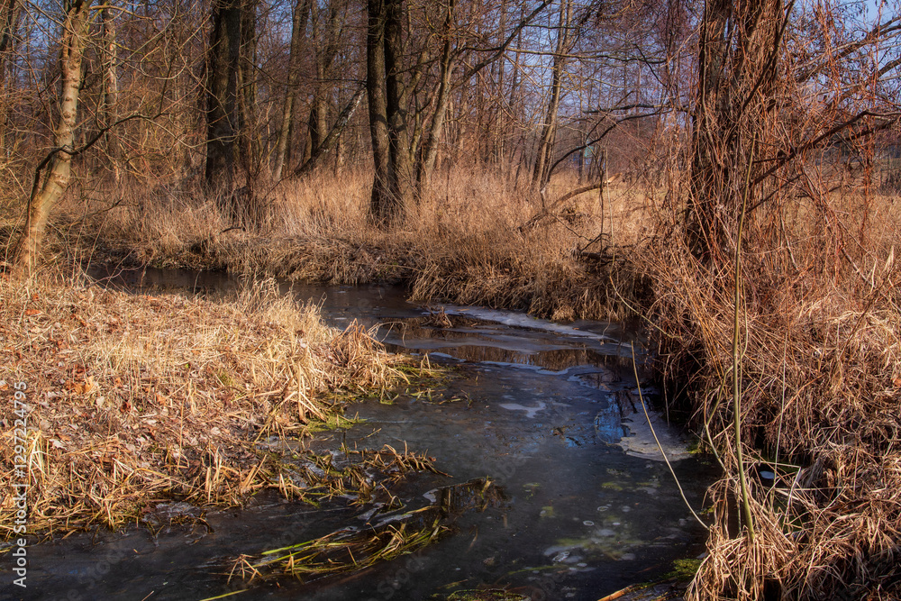 Przedwiośnie w Dolinie Górnej Narwi, Podlasie, Polska