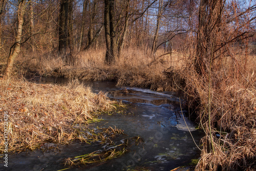 Obraz na płótnie Przedwiośnie w Dolinie Górnej Narwi, Podlasie, Polska w salonie