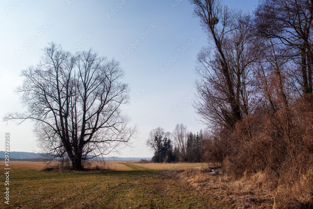 Przedwiośnie w Dolinie Górnej Narwi, Podlasie, Polska