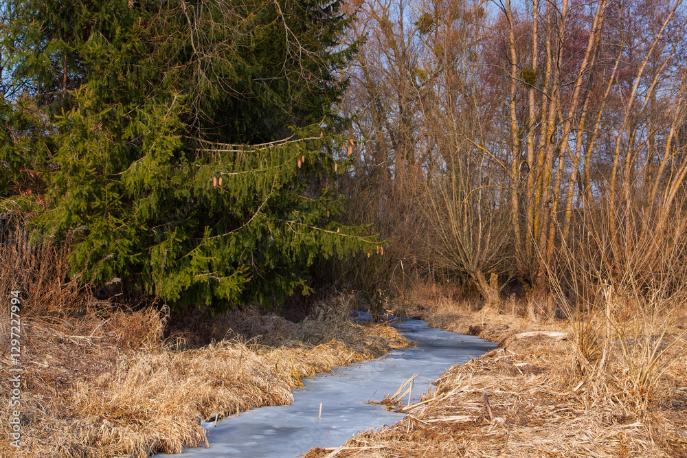 Przedwiośnie w Dolinie Górnej Narwi, Podlasie, Polska