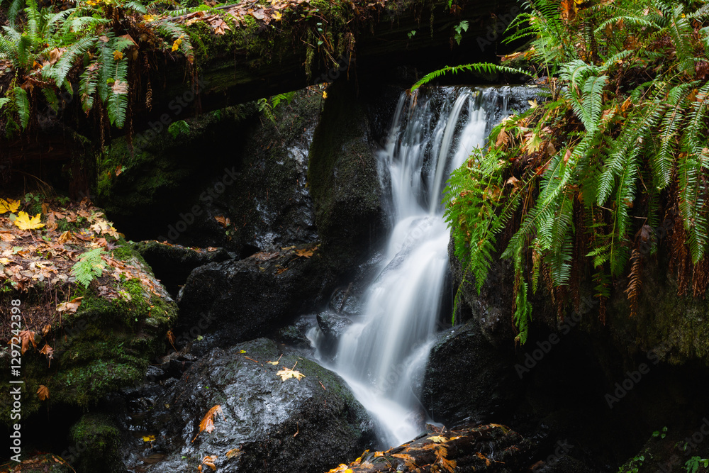 Streams of water in the wilderness of California. Streams of water in the wilderness of California.