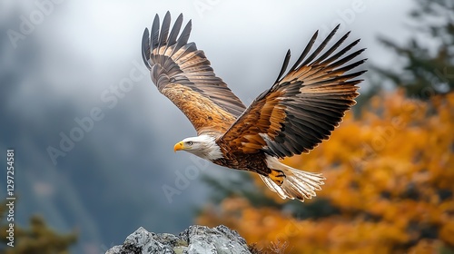 A majestic eagle soaring through the sky, showcasing its powerful wings in flight. photo