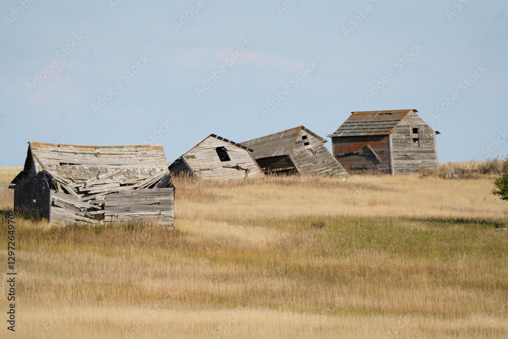 Abandoned farm houses crumbling in a field of prairie grass