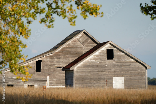 Obraz na płótnie Abandoned weathered grey wooden barn in field with broken windows w salonie