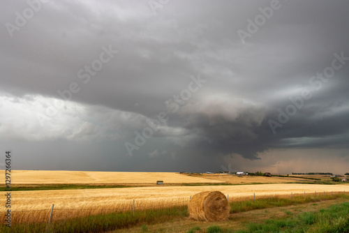 Storm clouds gathering over a golden wheat field