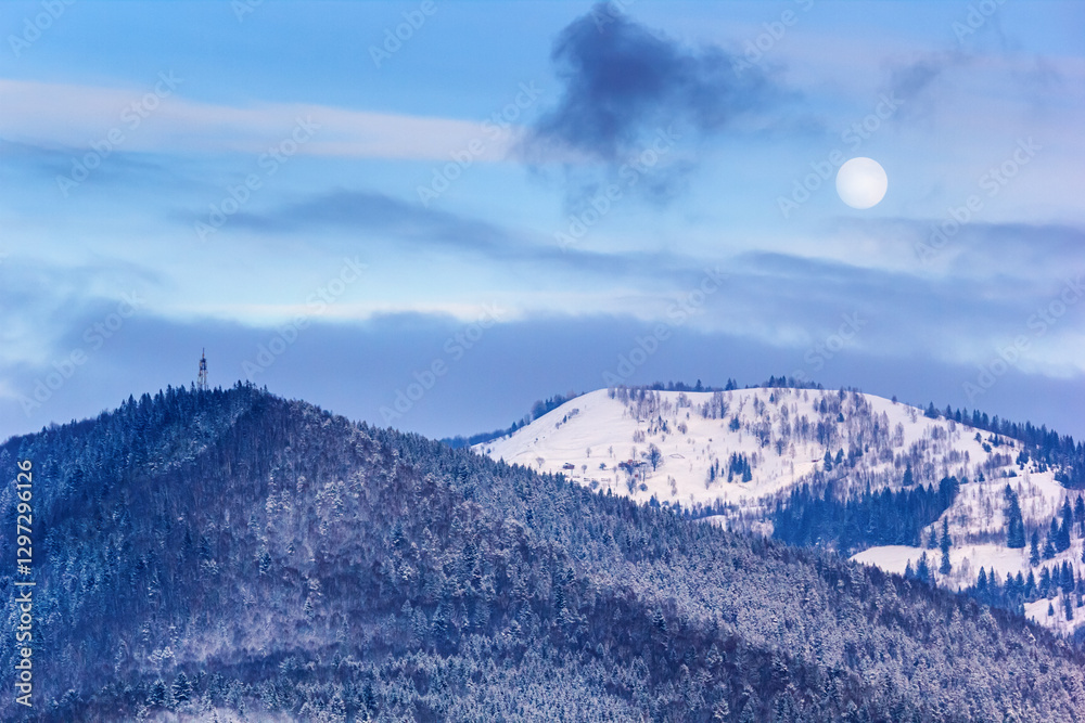 Winter landscape - view of the snowy forested mountains in the evening under the moon in the Carpathian mountains