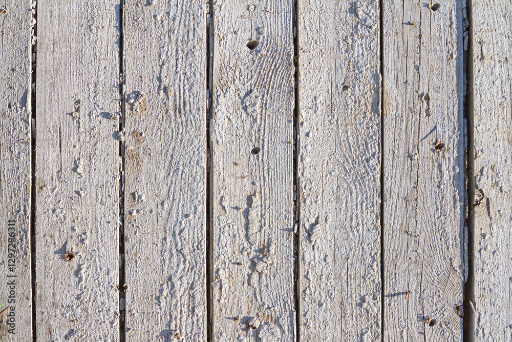 Wooden light background. Old white painted fence in good condition. Solid wooden wall from weathered boards. Barn wood wall