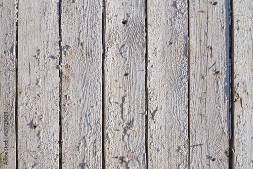 Obraz na płótnie Wooden light background. Old white painted fence in good condition. Solid wooden wall from weathered boards. Barn wood wall w salonie