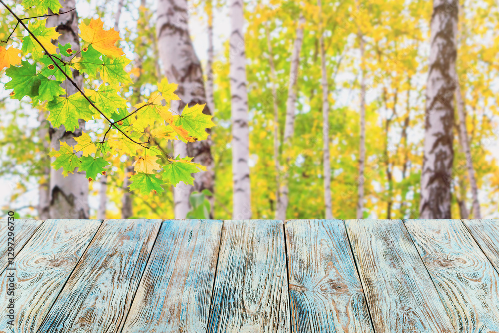 Empty of old wood table top on abstract autumn background of maple leaves and birch grove. For montage product display or design key visual layout