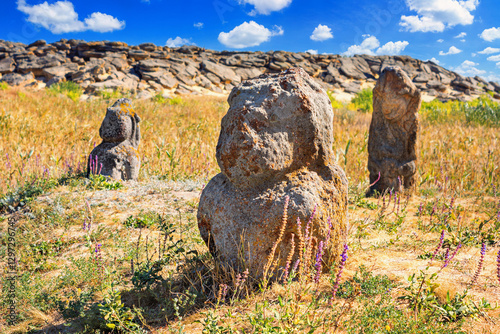 Obraz na płótnie View of the ancient kurgan stelae, stone idols, in the steppe in southern Ukraine, close-up on a sunny summer day w salonie
