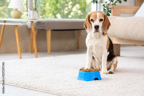 Adorable beagle dog sitting...